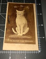 1860s Hungry Smiling CAT Ate CANARY Comic Antique Civil War Era CDV Filler PHOTO