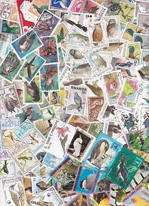 Y1018D - Verzameling/Collection/Sammlung - 100 diff. - Vogels / Birds/ Vögel - Picture 1 of 1