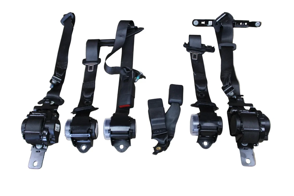 2011 - 2023 Dodge Charger Chrysler 300 Seat Belt Set OEM 1HZ06DX9AI Foto 1 de 4