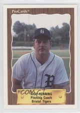 1990 ProCards Minor League Rich Henning #3176