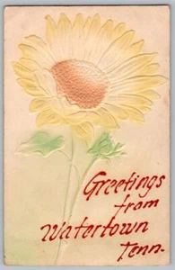 Postal de girasol aerografiada 1907 saludos desde Watertown Tennessee TN - Imagen 1 de 2