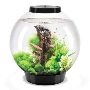 BIORB CLASSIC 30L BLACK AQUARIUM ACRYLIC FISH TANK LED LIGHTING FILTER UNIT - Picture 1 of 2