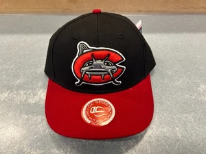 Outdoor Cap MIN-253 MiLB Minor League Baseball Hat - Carolina Mudcats - YOUTH - Picture 1 of 3