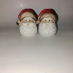 Juego de coctelera de sal y pimienta de Santa esmaltada pintada a mano Kirkland's Potter's Garden - Imagen 1 de 10