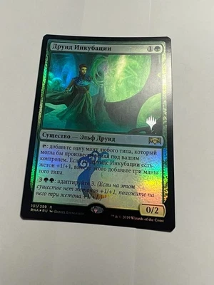 FOIL Russain Incubation Druid x1 Pack Promo NM-, RNA MTG - Image 1 of 4