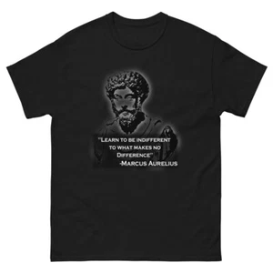 Camiseta de peso pesado Stoicism Be Indifferent para hombre  - Imagen 1 de 12