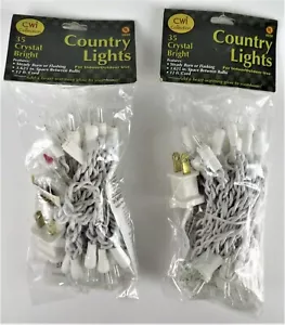 Set di 2 - Country Light Set - 35 lampadine trasparenti - cavo CWI bianco 12' - NUOVO sigillato - Foto 1 di 4