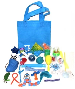 30 Piece Sensory Calm Down Kit BLUE Bag Fidget Stress Toys ADHD SPD Autism - Picture 1 of 2