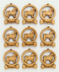 Bolognese Mini Ornamente 9er Box - Bild 1 von 1