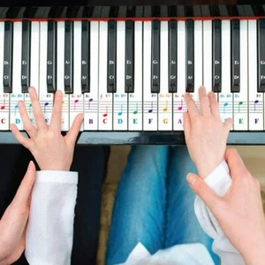 For 25 / 49 / 54 / 61 / 88 Colorful Transparent Piano Keyboard Stickers - Picture 1 of 10