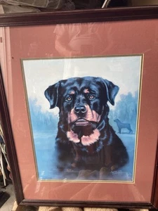 Pintura Rottweiler Carolyn Cheney 1996 firmada rara - enmarcada 24x30 - Imagen 1 de 5