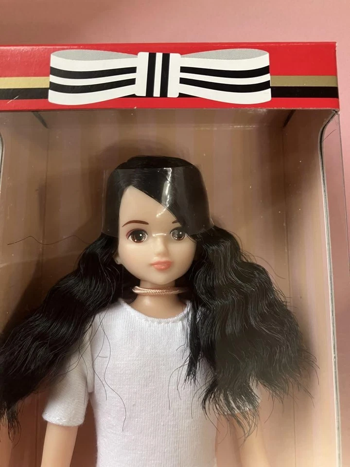 Castillo Licca-chan 2023 - Muñeca BOY FRIEND SHO-kun Nº13048 - Pelo Negro Onda Larga Foto 1 de 3