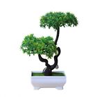 Aufmerksamkeit greifender Kunststoff-Bonsai-Baum fr Haus und Bro Gartendekor