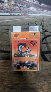 Robby Gordon #31 Cingular Looney Tunes Rematch 1:64 Diecast Nascar - Picture 1 of 2