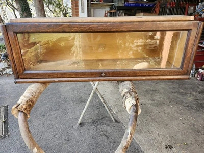 Sección librería roble tigre MACEY 98 Foto 1 de 4