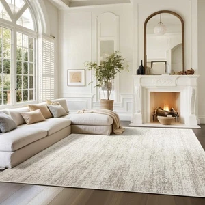 Washable Rugs 8x10 Area Rugs for Living Room,Rugs for Bedroom,Large Carpets,U... - Picture 1 of 9