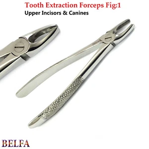 Tooth Extracting Extraction Forceps Fig 1 Upper Molar Dentistry Instruments - Picture 1 of 5