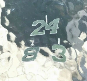 FINISH LINE 1 Set 1 of Each NASCAR RACING PENDANTS 3 STYLES Numbers 3, 8 & 24 - Picture 1 of 1