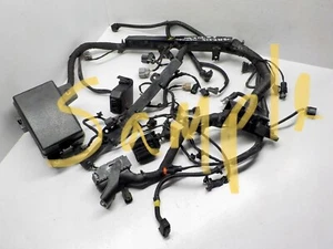 13 14 15 16 Hyundai Genesis Coupe Main Engine Wiring Harness 3.8 Auto Key Start. - Foto 1 di 1