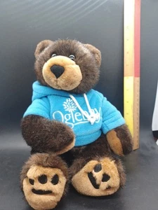 Black Bear With Hoodie Oglebay Resort Stuffed Animal House Plush - Picture 1 of 12