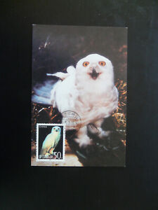 bird owl maximum card China 1995 (2)