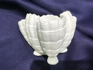ROYAL WORCESTER NAUTILUS white porcelain SHELL BOWL made in ENGLAND VTG! - Picture 1 of 13
