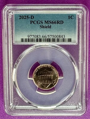 2025 D 1c Lincoln Shield centavo PCGS MS66RD (843) - Imagem 1 de 2