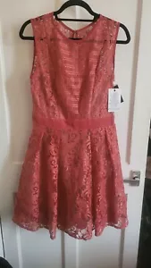 Womens/ Ladies NEW little Mistress Terracotta lace dresssize 12 - Picture 1 of 2