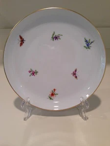 Hochst Hand-Painted Porcelain Insects and Flowers Plate #5 Made In Germany New - Picture 1 of 5