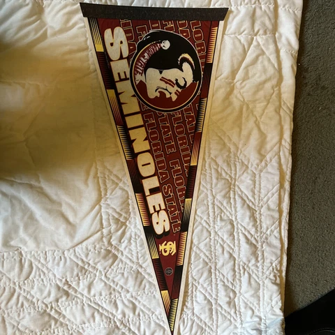 Florida State Seminoles Pennant 12x30 Inch Soft Felt University of Florida Cover