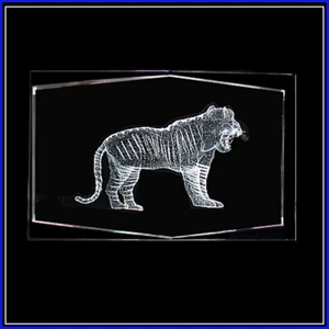 DOLPHINES-WORLD-GLOBE, Laser Crystal Paperweight Laser Etched 3D Image free ship - Picture 1 of 1