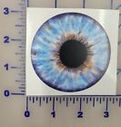 Eyeball Realistic cut blue  Logo Vinyl Decal awesome 