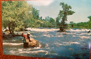 Postcard “Trout Fishing” Lusterchrome Unposted Divided 3.5x5.5” White Water - Picture 1 of 2