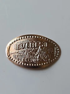 2025 WDW Disney Animal Kingdom Expedition Everest Beware Yeti Ride Pressed Penny - Picture 1 of 2