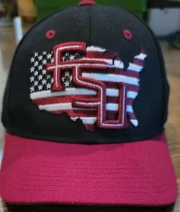 Raro De Colección Jóvenes Estado de Florida Seminoles FSU América Céfiro Sombrero Snapback - Imagen 1 de 5
