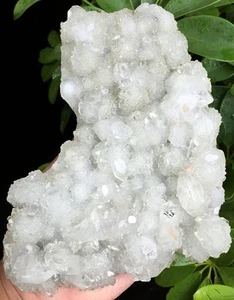 1009g ¡¡Increíble!!!Nuevo muestra de cristal de apofilita natural crudo India ip0801 - Imagen 1 de 12