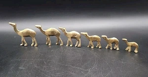Miniature Brass Camel Figurines Set Standing Sculptures Graduated Heights Sizes  - Picture 1 of 12