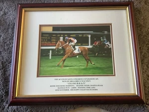 Framed Photograph Of Racehorse “CELLINI” Winning At Happy Valley RC Hong Kong - Picture 1 of 7
