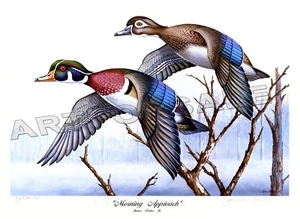 JAMES PARTEE JR. ART, WOOD DUCKS - MORNING APPROACH 11x17 L/E S/N LITHOGRAPHIE - Bild 1 von 8