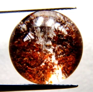 ip18 Lodolite Quartz 13.04ct 15x8mm round stone garden stone chlorite gemstone - Imagen 1 de 4