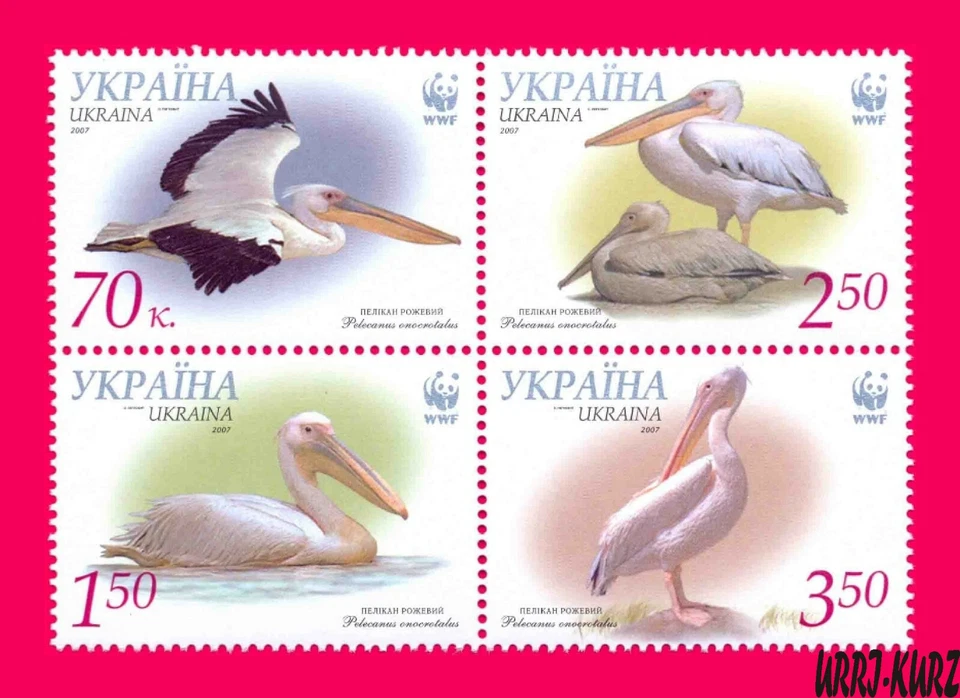 UKRAINE 2007 Nature Fauna Birds Pelicans WWF block of 4v Sc696 Mi897A-900AZd MNH - Image 1 of 1