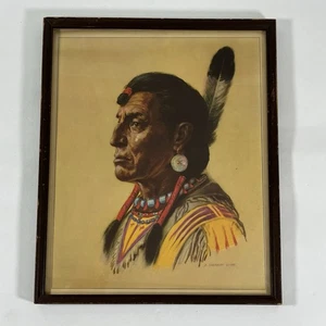 Vintage A. Sherriff Scott Portrait of Chief Red Cloud Druck, gerahmt 12" x 10" - Bild 1 von 11
