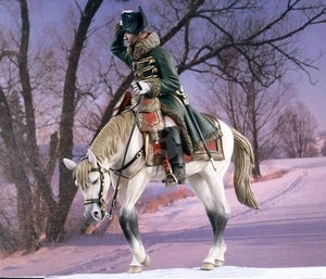 Verlinden 120mm (1/16) "Retreat from Russia" General Napoleon Horse Mounted 1709 - Picture 1 of 1