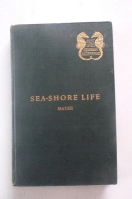 Sea-Shore Life by Alfred Goldborough Mayer (hardcover, 1916) - Image 1 of 4