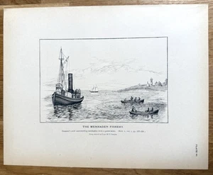 Menhaden Steamer Crew Surrounding a School w/ Purse-seine 1887 Fishing Print - Imagen 1 de 8