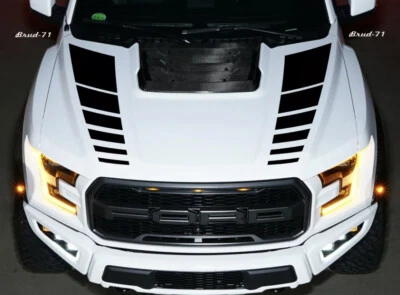 Hood Vinyl Decals graphics stripe - Ford Raptor F-150 - Image 1 of 4