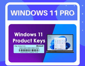 Microsoft Windows 11 Pro LIFE TIME Pro Key Email/Ebay message delivery