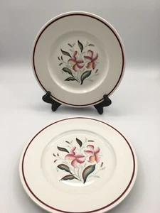 Juego de 4 ensaladas/platos de almuerzo vintage Burleigh Ware tigre lirio 8,75" Inglaterra - Imagen 1 de 4