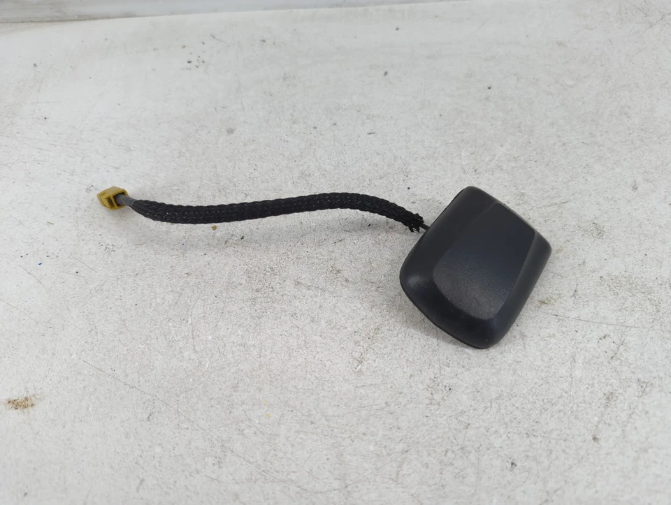 2008 克莱斯勒城镇和乡村无线电天线桅杆 PAVW0 — 第 1/4 张图片