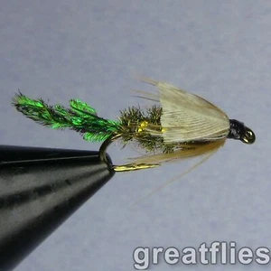 1 Dutzend (12) - Zug Bug - Bild 1 von 1